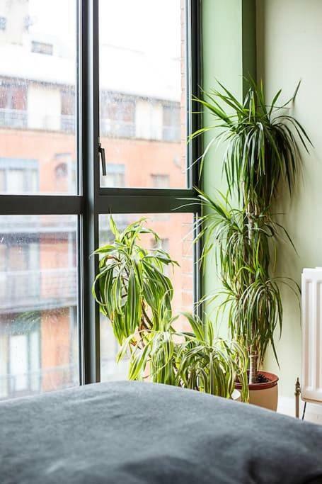 Spacious Belfast City Centre Duplex Apartment Екстериор снимка